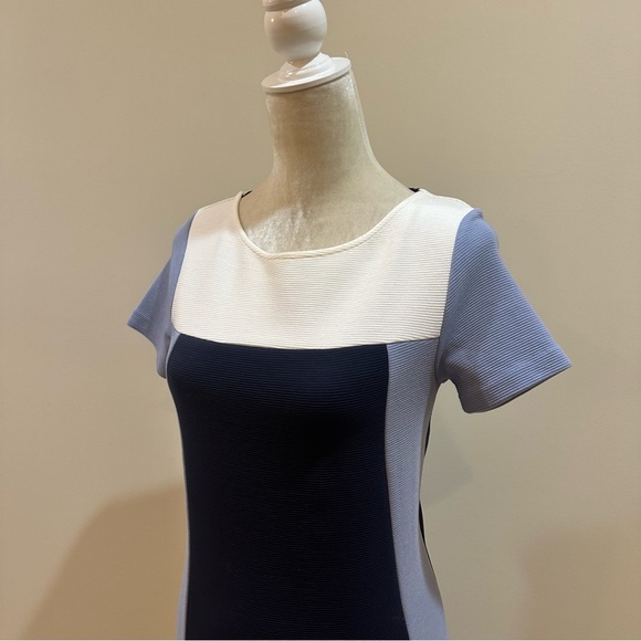 Boden Jeanette Ottoman Dress - Picture 5 of 9